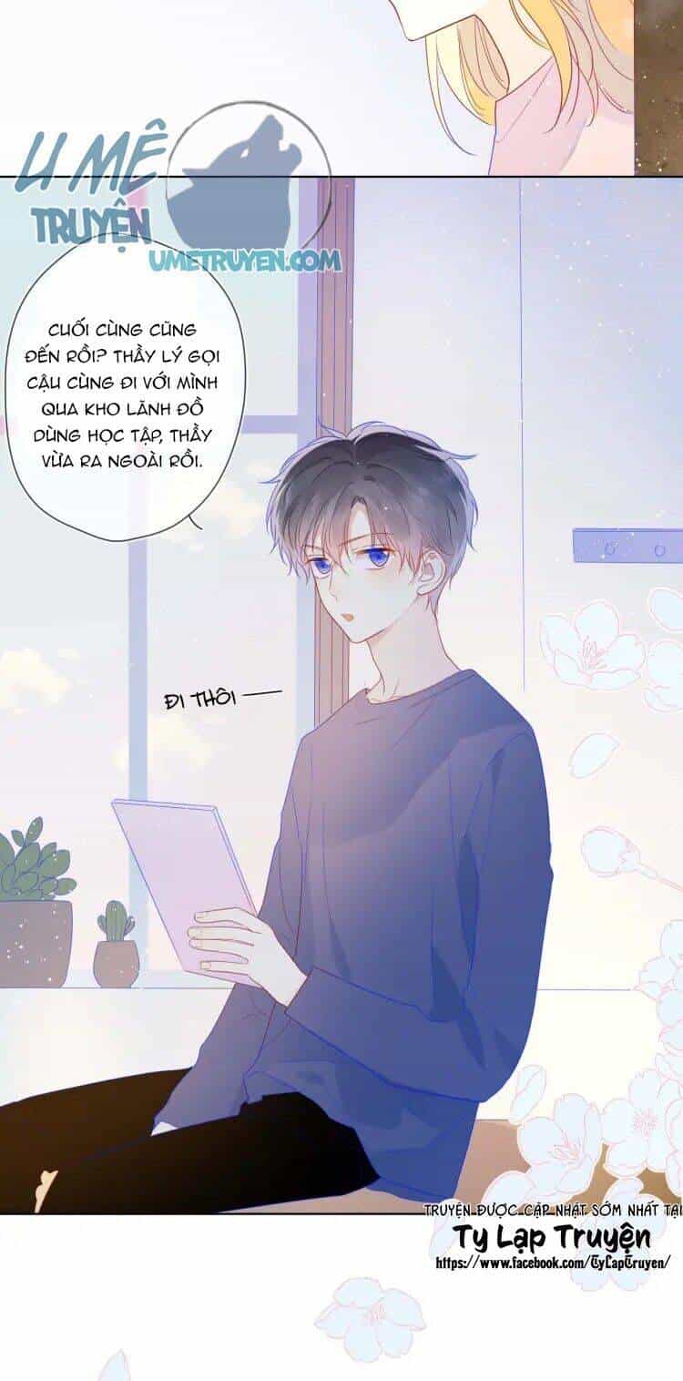 Ngôi Sao Cho Tôi - Chương 31 - ảnh 17