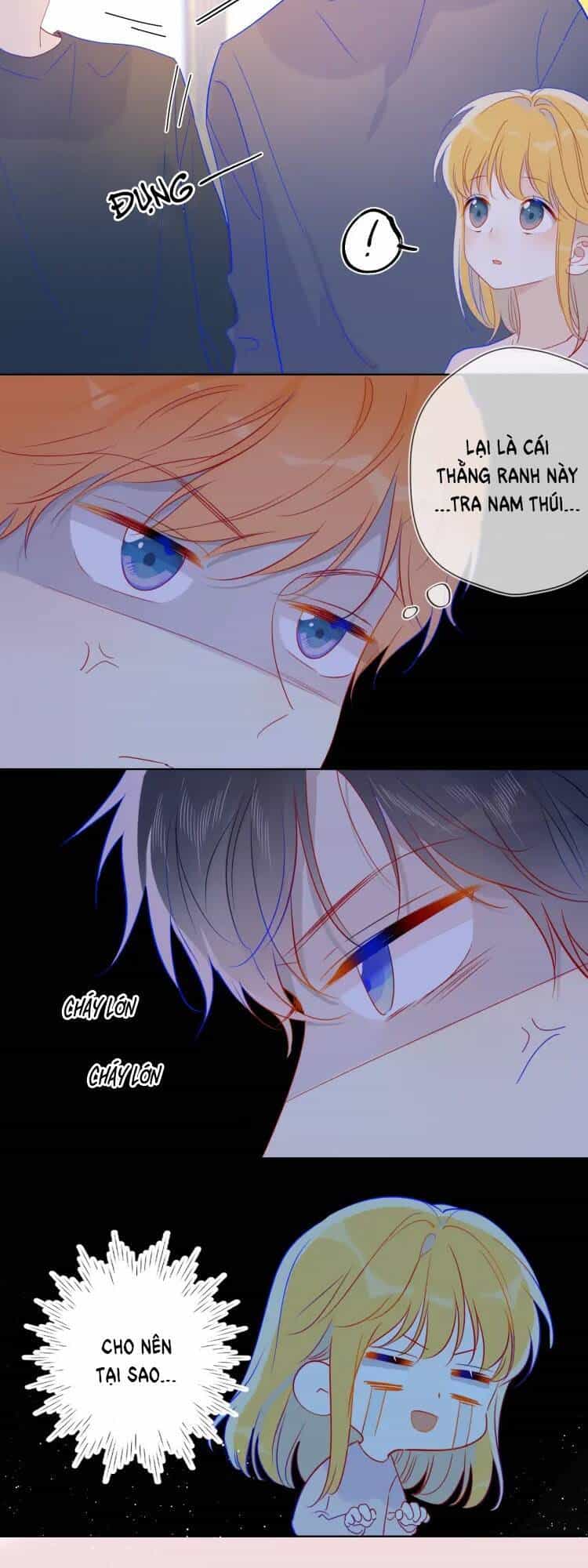 Ngôi Sao Cho Tôi - Chương 39 - ảnh 17