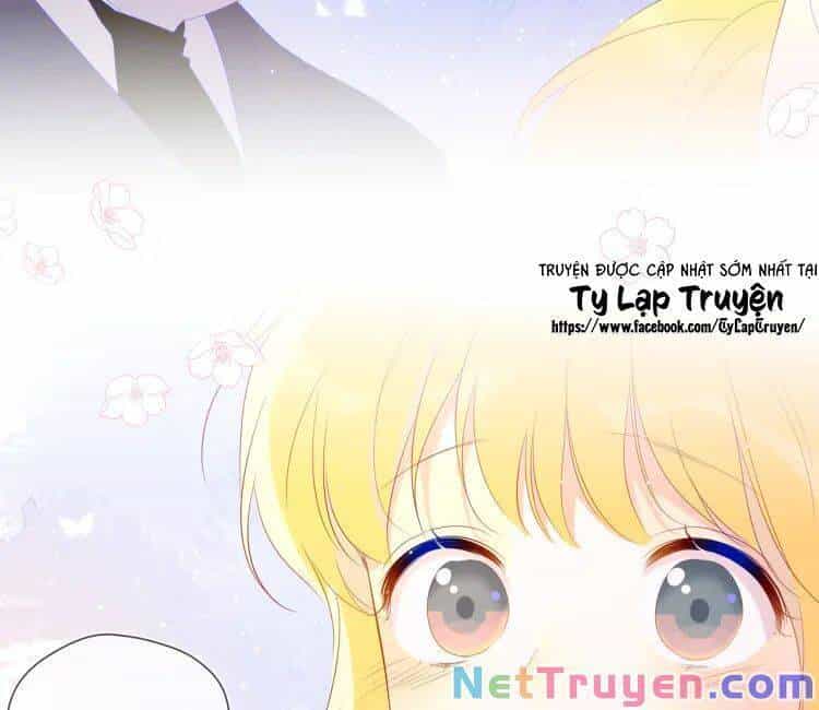 Ngôi Sao Cho Tôi - Chương 43 - ảnh 17