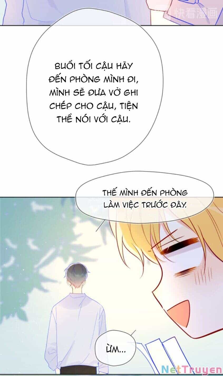 Ngôi Sao Cho Tôi - Chương 46 - ảnh 18