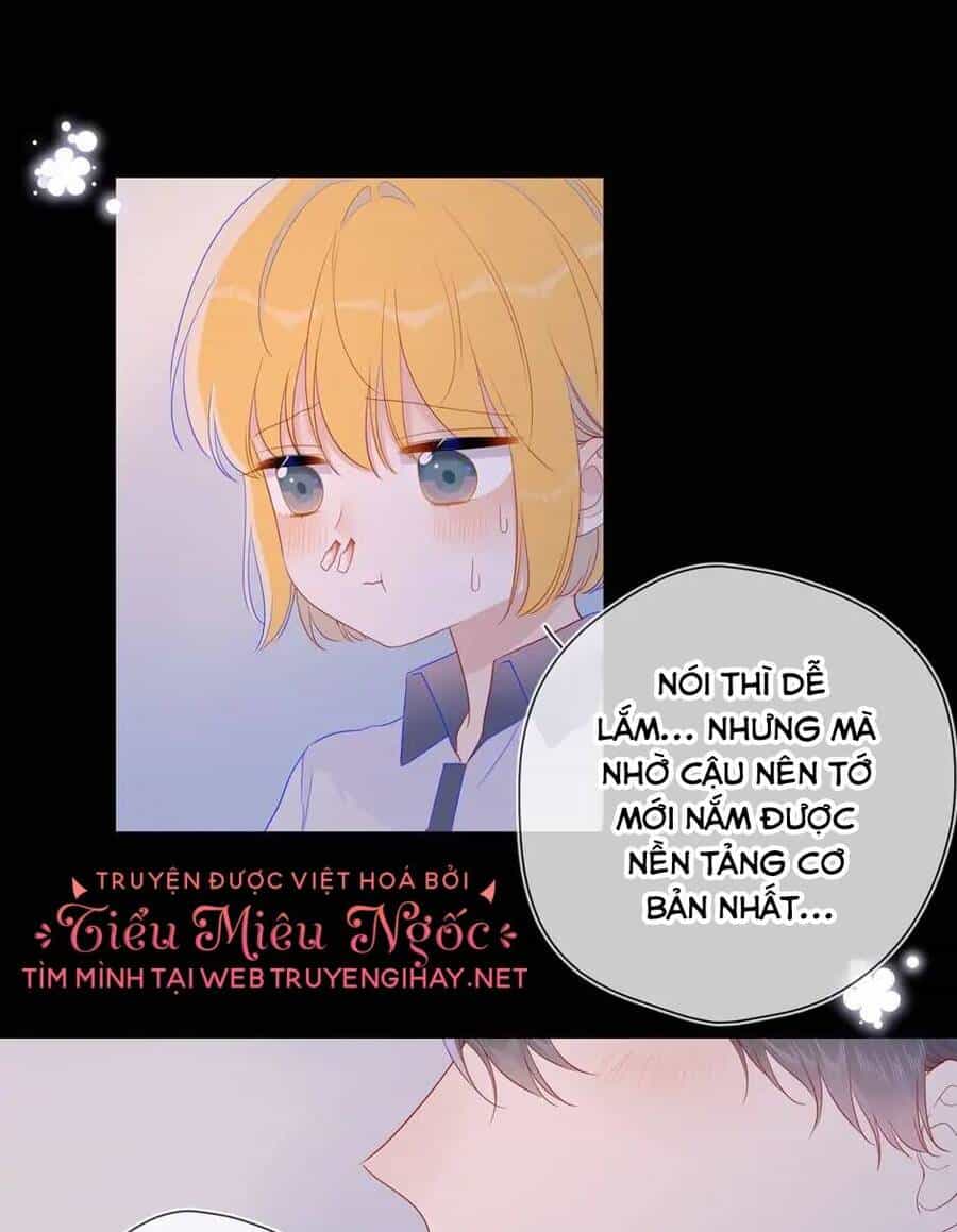 Ngôi Sao Cho Tôi - Chương 64 - ảnh 13