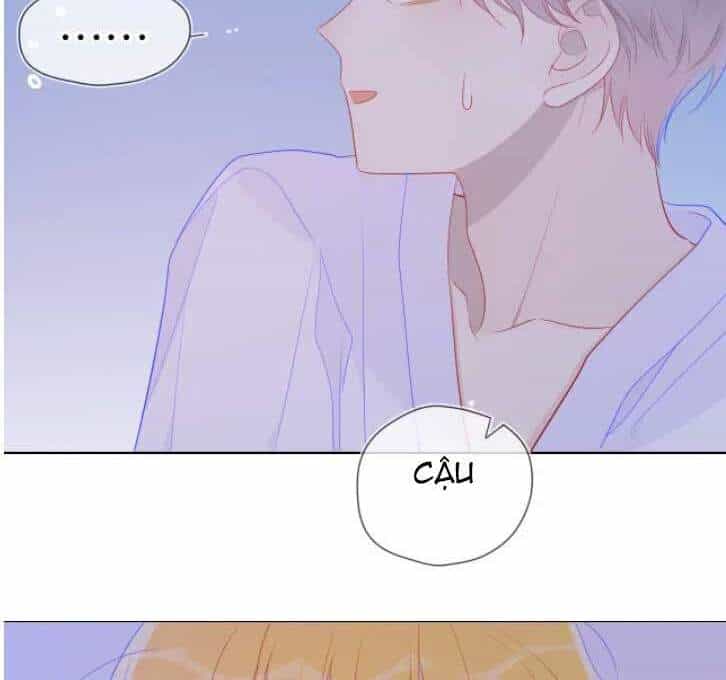Ngôi Sao Cho Tôi - Chương 65 - ảnh 17