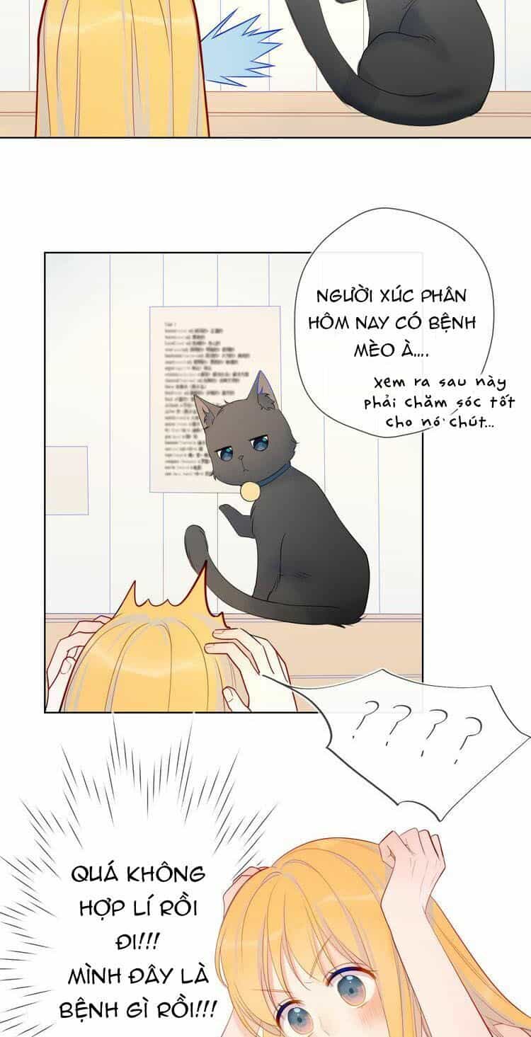 Ngôi Sao Cho Tôi - Chương 6 - ảnh 11