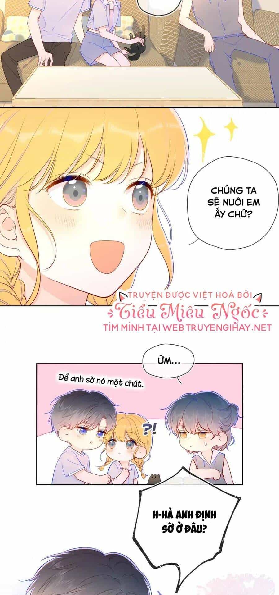 Ngôi Sao Cho Tôi - Chương 79 - ảnh 15