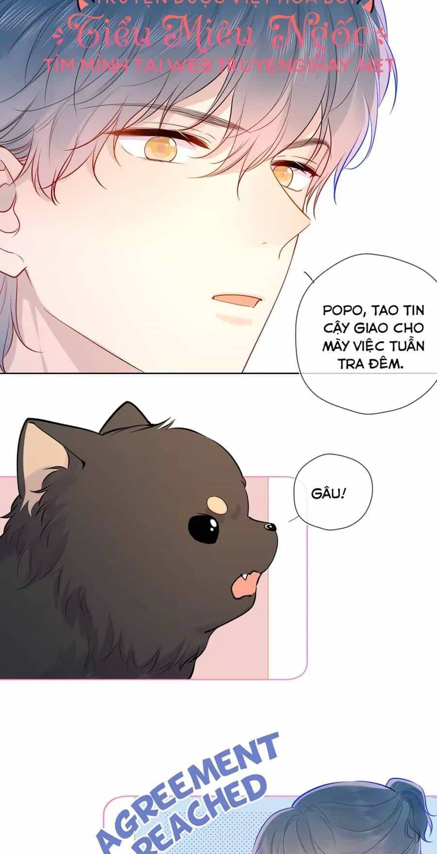 Ngôi Sao Cho Tôi - Chương 82 - ảnh 8