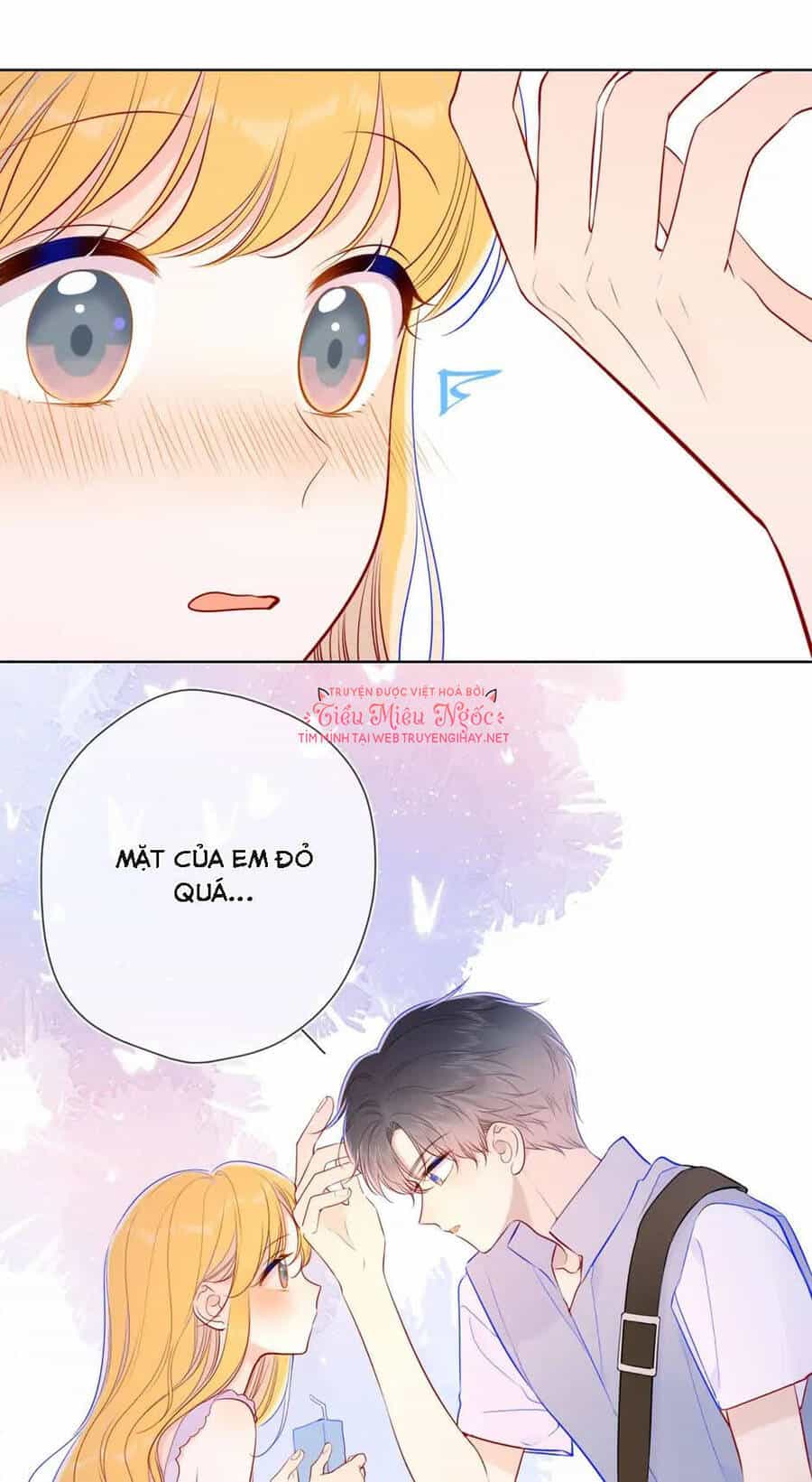Ngôi Sao Cho Tôi - Chương 87 - ảnh 26