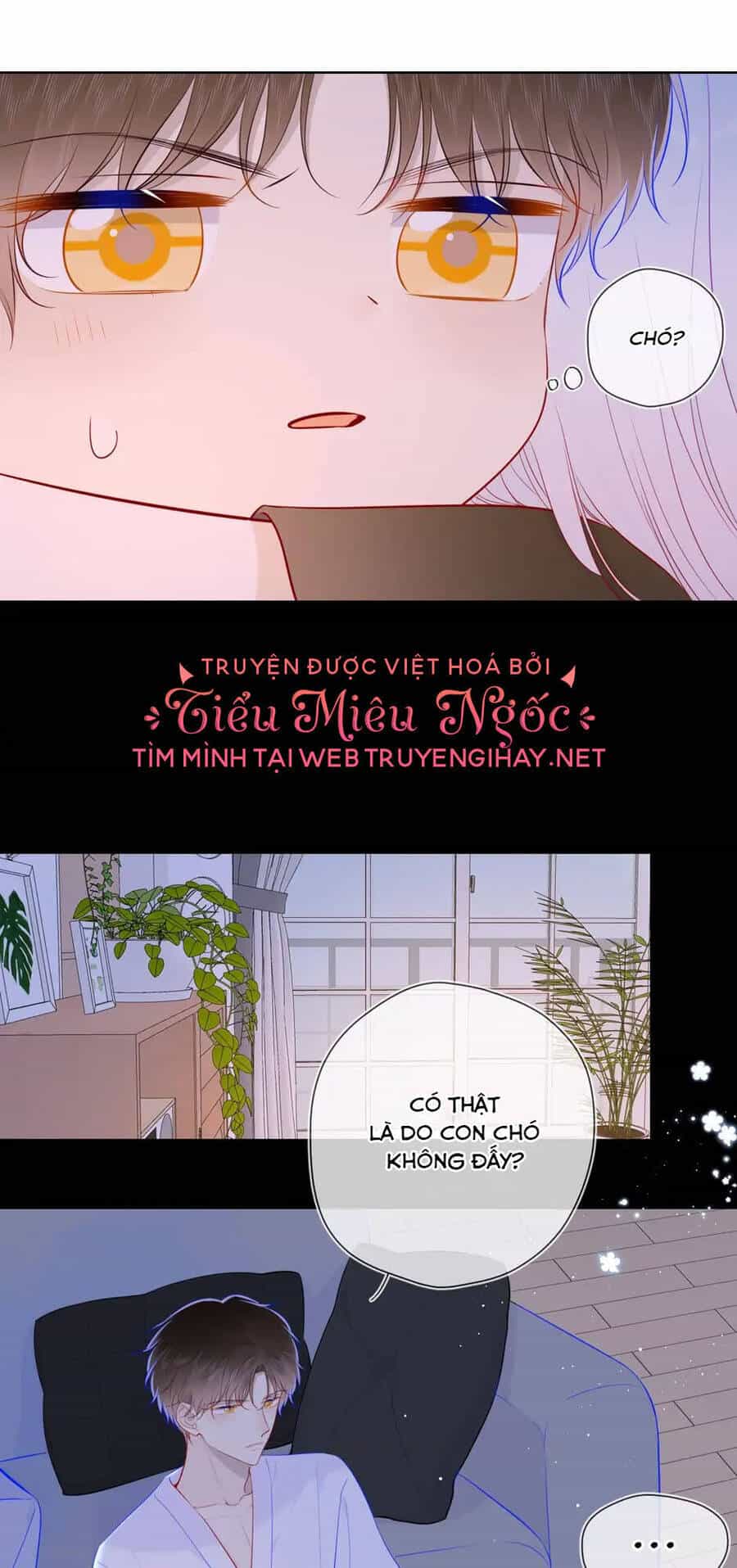 Ngôi Sao Cho Tôi - Chương 93 - ảnh 7