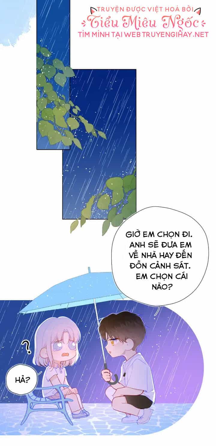 Ngôi Sao Cho Tôi - Chương 95 - ảnh 21