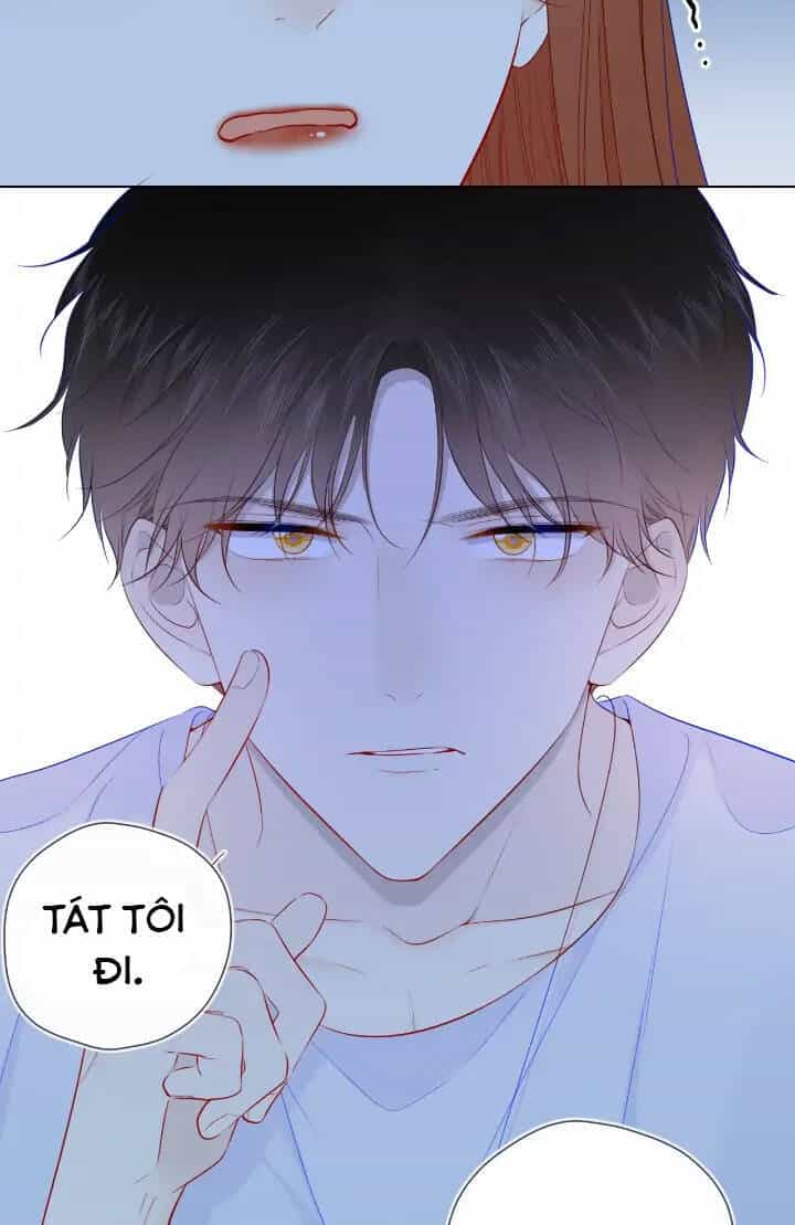 Ngôi Sao Cho Tôi - Chương 95 - ảnh 5