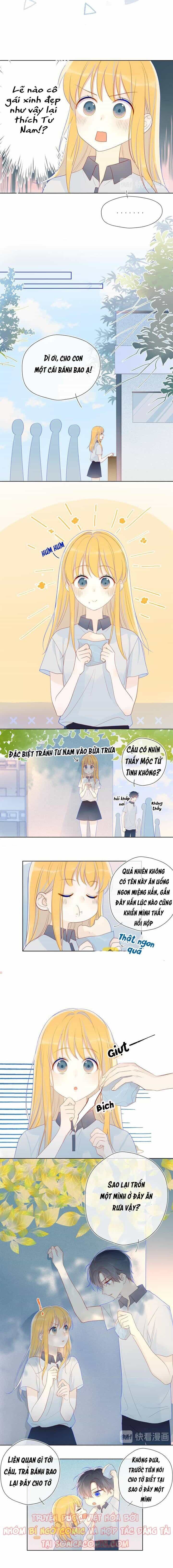 Ngôi Sao Dành Cho Tôi - Chương 10 - ảnh 5