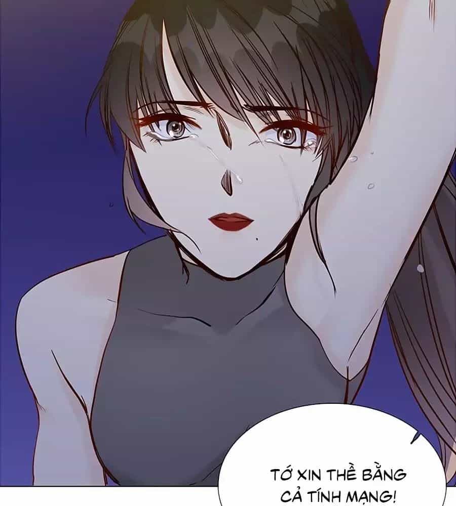 Ngôi Sao Vụn Vỡ - Chương 48 - ảnh 40