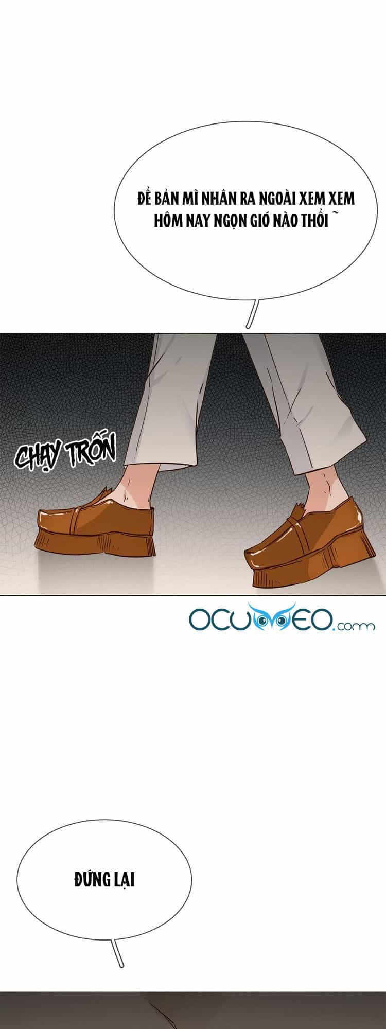 Ngôi Sao Vụn Vỡ - Chương 6 - ảnh 5