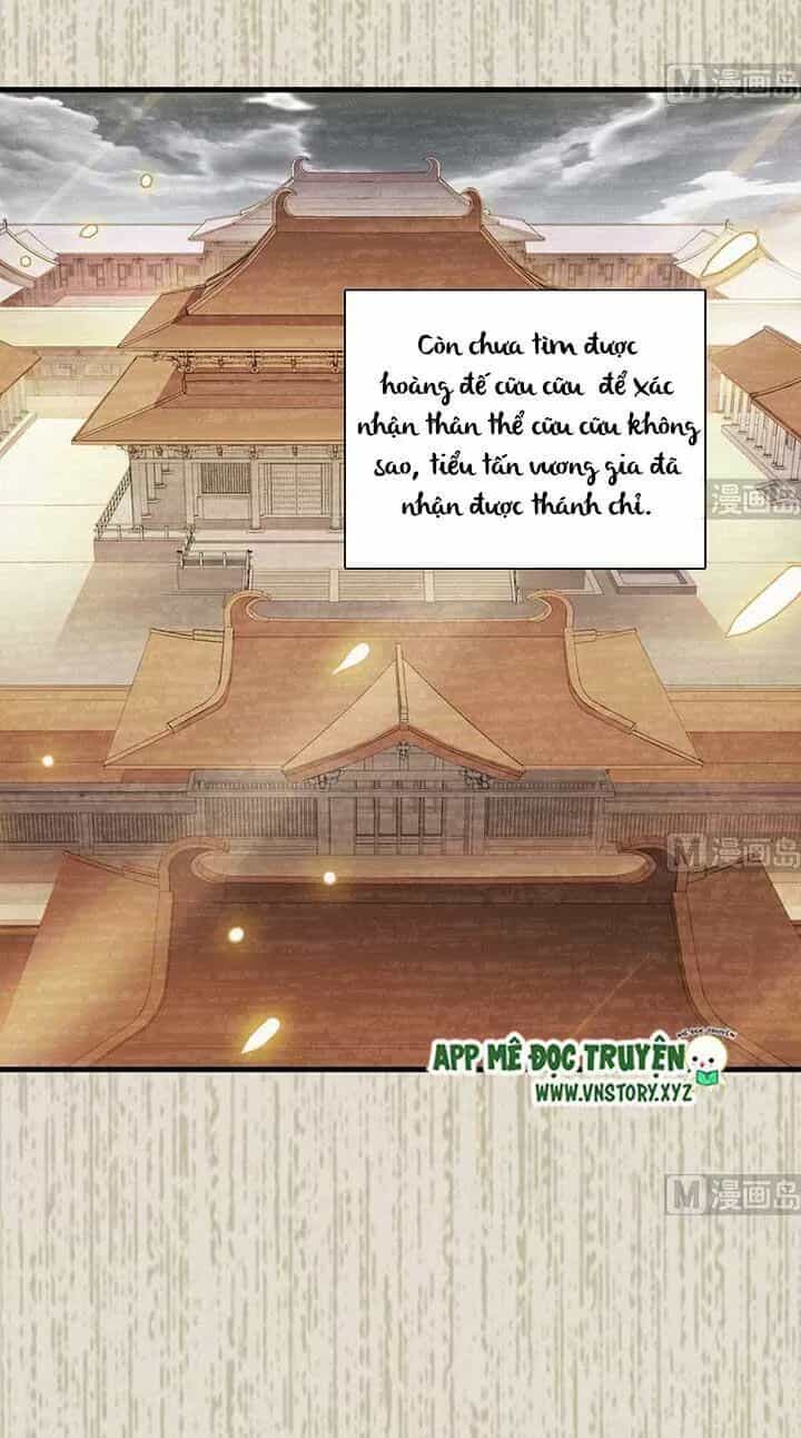 Ngọt Ngào Uy Vũ: Boss Sủng Đến Nghiện - Chương 176 - ảnh 7