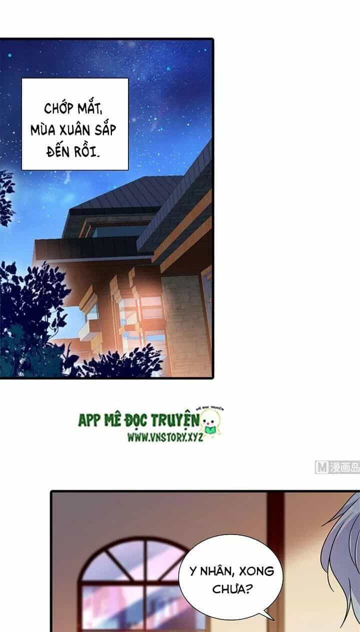Ngọt Ngào Uy Vũ: Boss Sủng Đến Nghiện - Chương 240 - ảnh 2