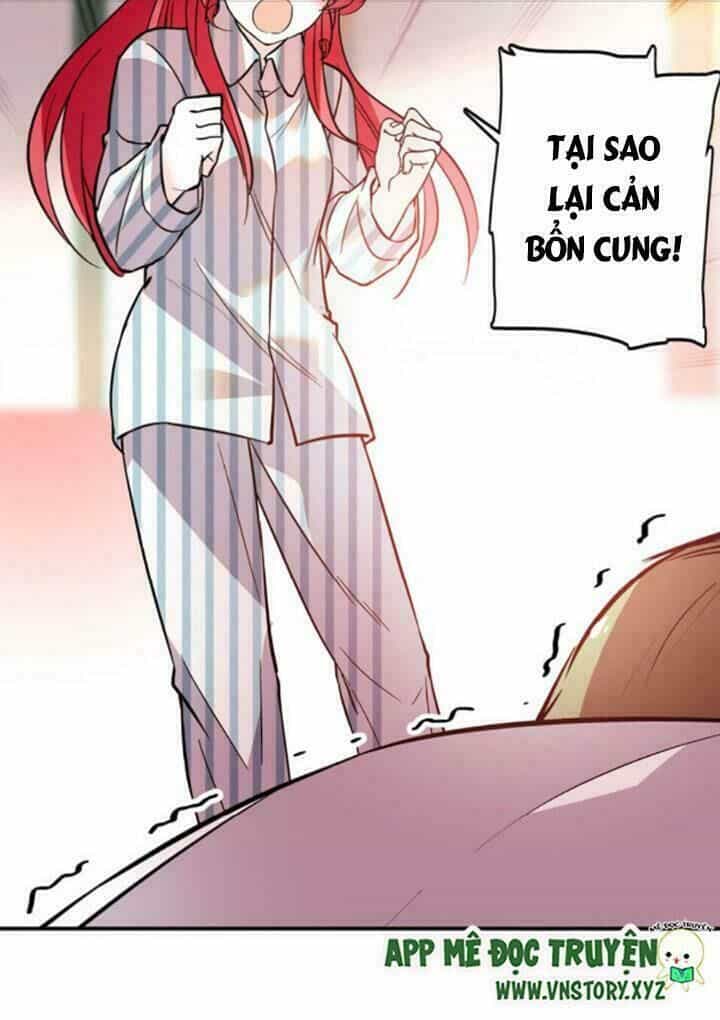 Ngọt Ngào Uy Vũ: Boss Sủng Đến Nghiện - Chương 3 - ảnh 8