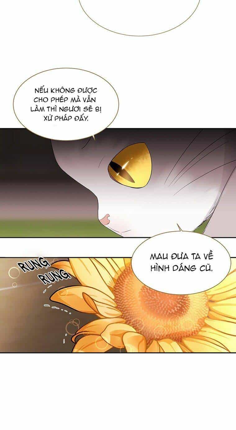 Ngũ Đại Đồ Đệ Của Charlotte - Chương 60 - ảnh 48