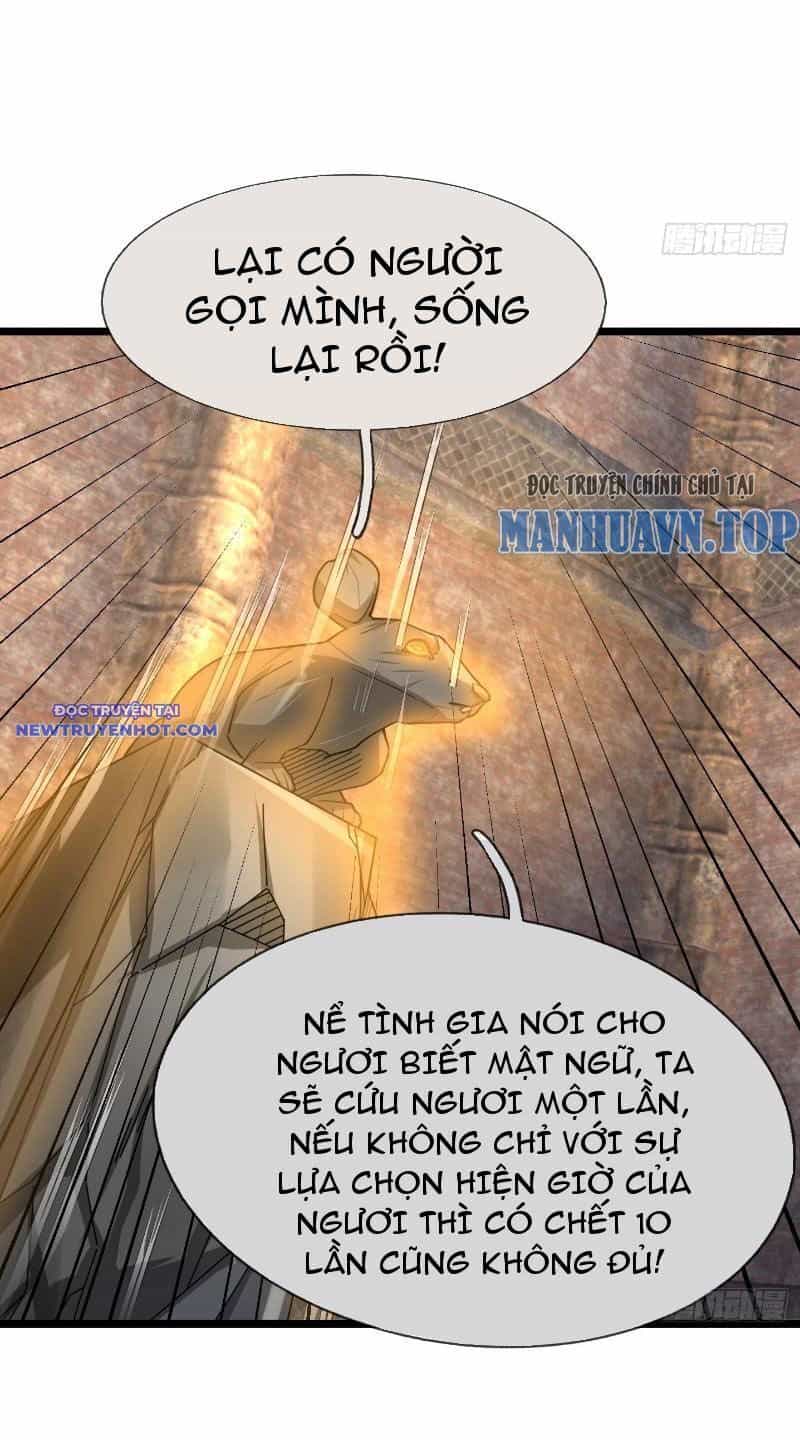 Ngủ Say Vạn Cổ: Xuất Thế Quét Ngang Chư Thiên - Chương 13 - ảnh 56