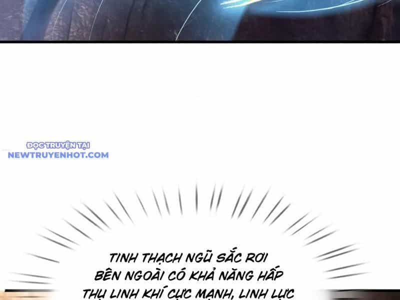 Ngủ Say Vạn Cổ: Xuất Thế Quét Ngang Chư Thiên - Chương 22 - ảnh 39