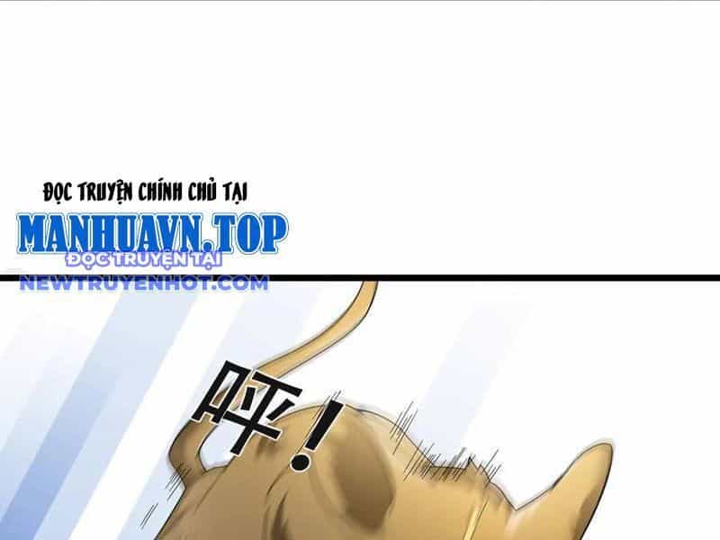 Ngủ Say Vạn Cổ: Xuất Thế Quét Ngang Chư Thiên - Chương 80 - ảnh 43