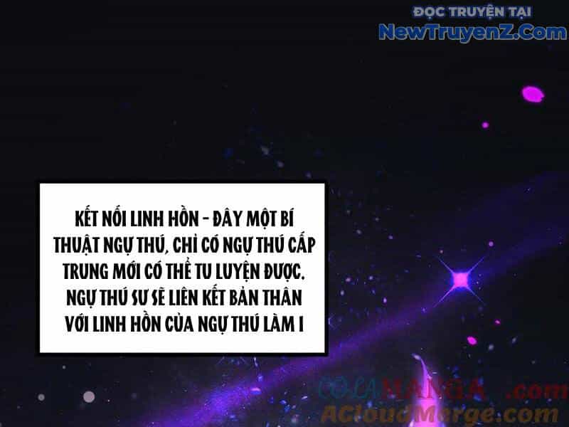 Ngự Thú: Ta Có Thế Thấy Toàn Bộ Chi Tiết Tiến Hóa - Chương 16 - ảnh 4