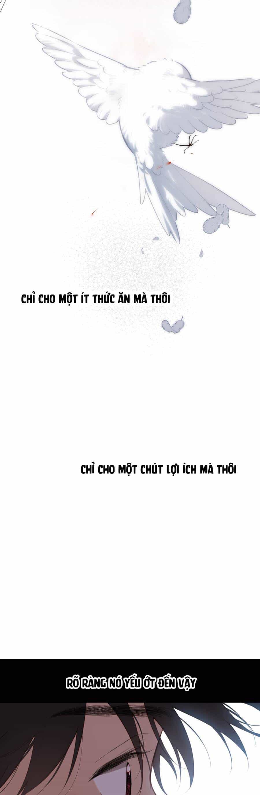 Ngược Dòng Mùa Xuân - Chương 32 - ảnh 37