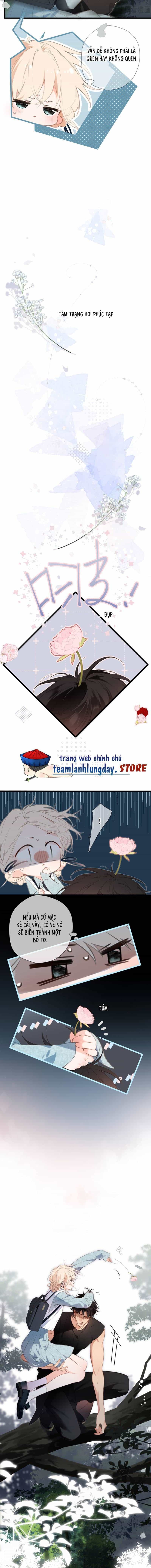 Ngược Dòng Về Mùa Xuân - Chương 50 - ảnh 3
