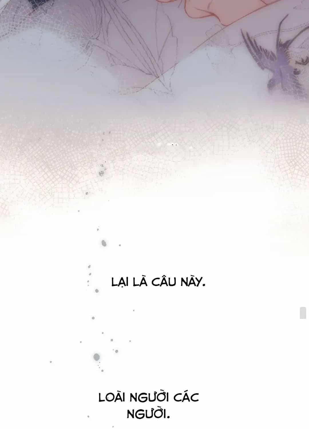 Ngược Dòng Về Mùa Xuân - Chương 76 - ảnh 64