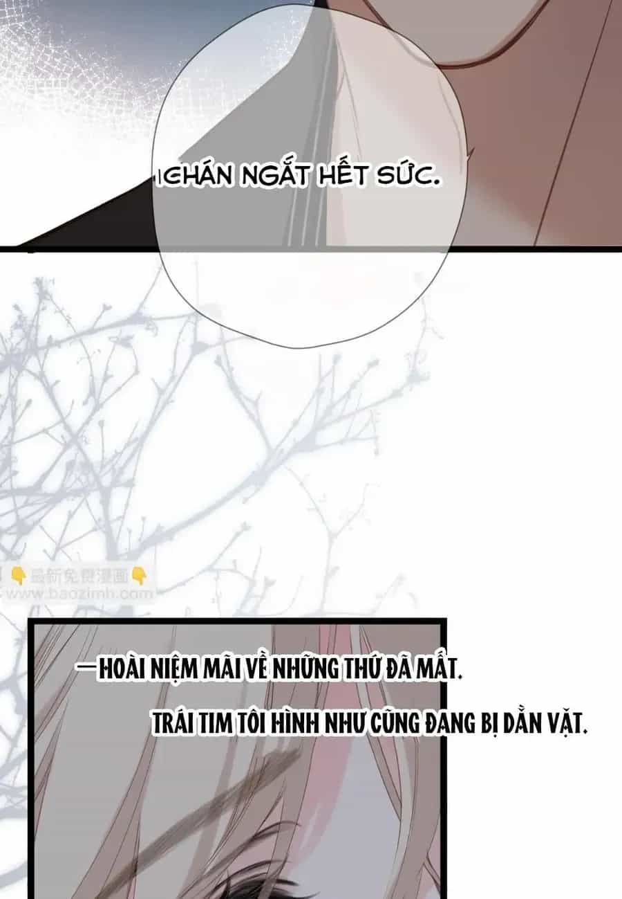 Ngược Dòng Về Mùa Xuân - Chương 85 - ảnh 14