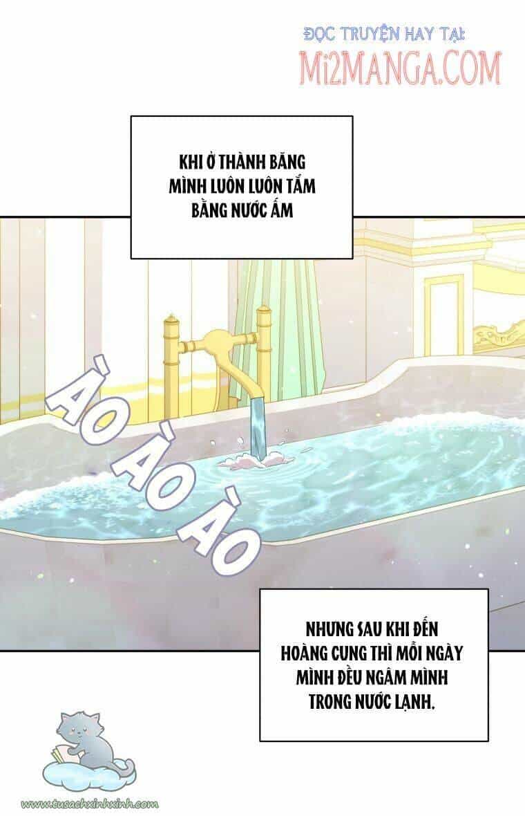 Người Bảo Hộ Của Bạo Quân Là Ma Nữ Tàn Độc - Chương 66 - ảnh 61