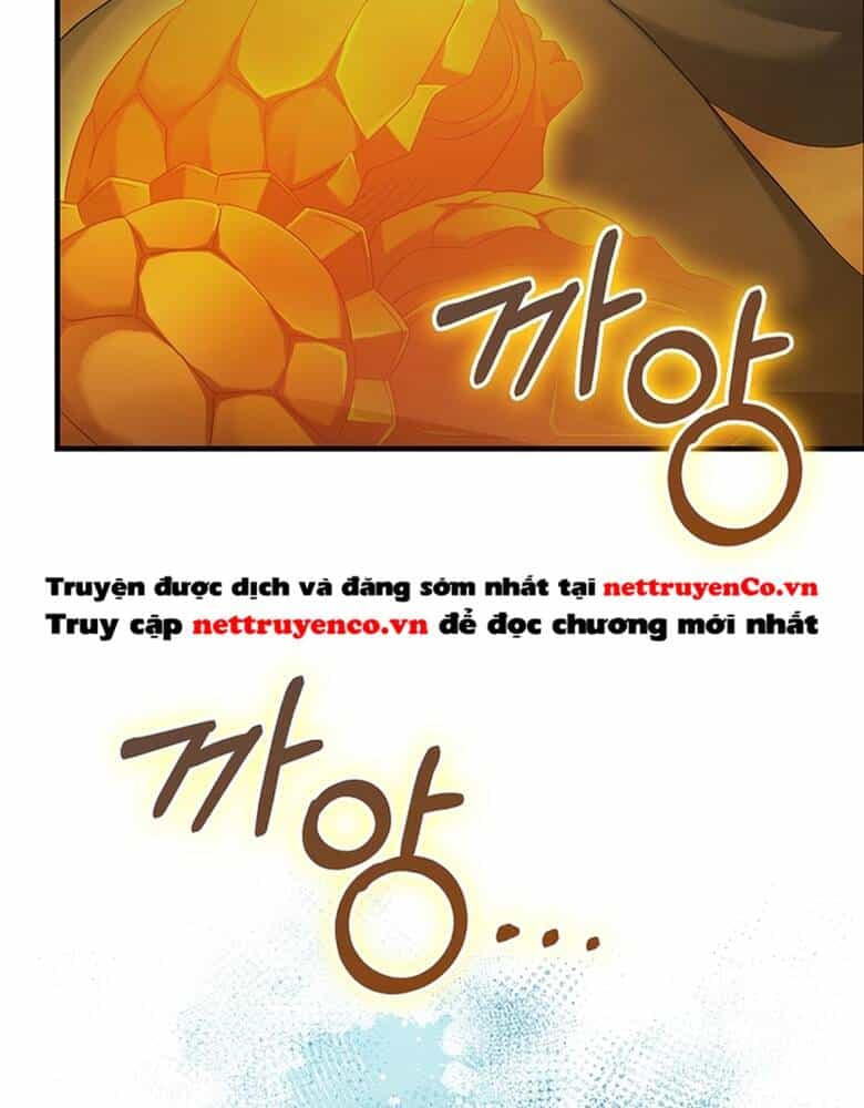 Người Chơi Có Thiên Phú Nghịch Thiên - Chương 33 - ảnh 102