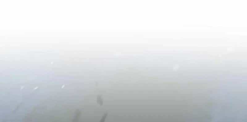 Người Chơi Không Thể Thăng Cấp - Chương 222 - ảnh 123