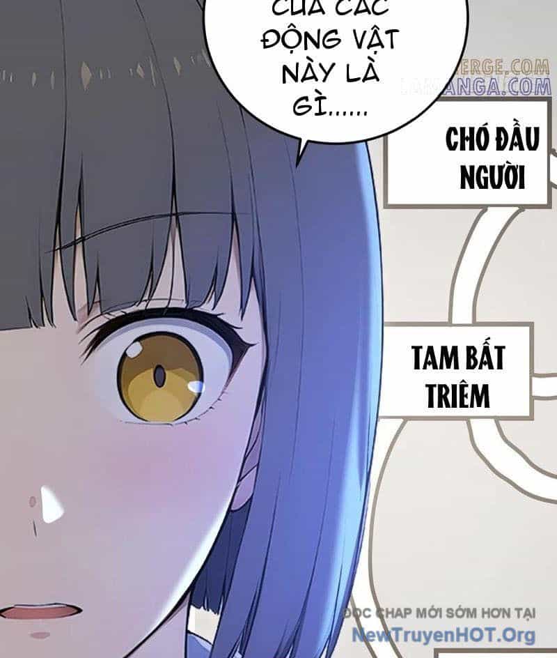 Người Chơi Siêu May Mắn - Chương 61 - ảnh 44