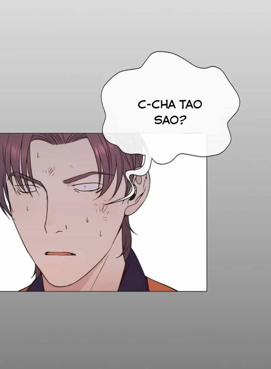 Người Đàn Ông Thực Thụ - Chương 178 - ảnh 139