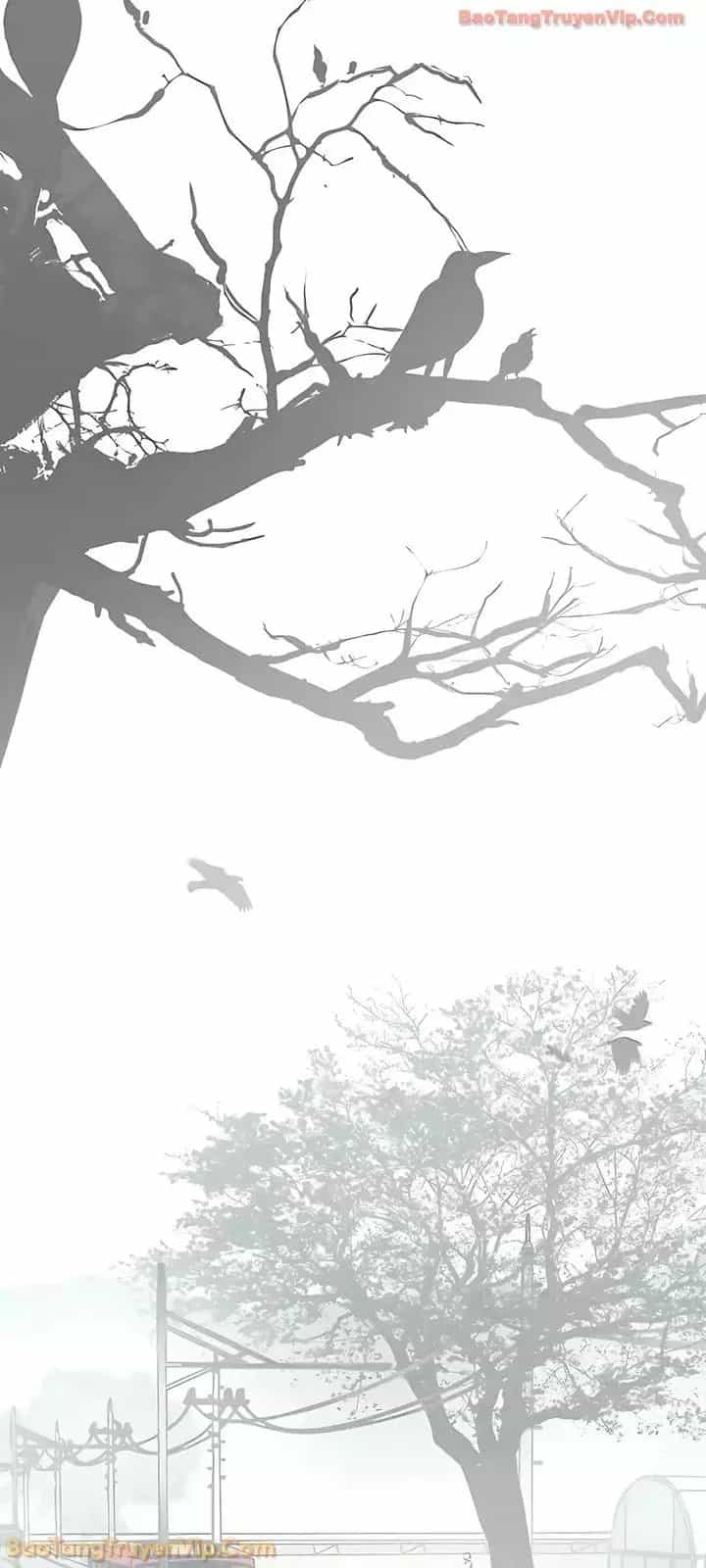 Người Đàn Ông Thực Thụ - Chương 247 - ảnh 20