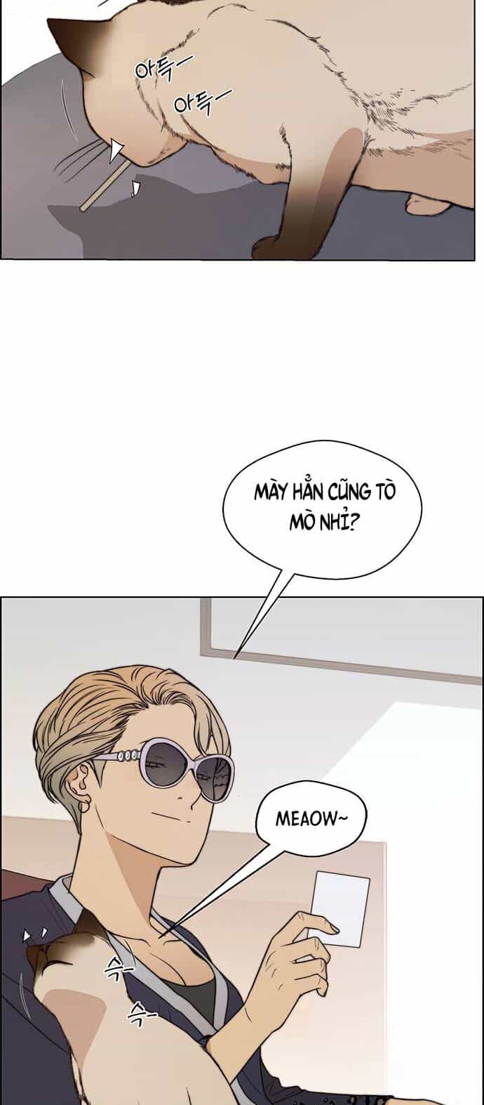 Người Đàn Ông Thực Thụ - Chương 90 - ảnh 51