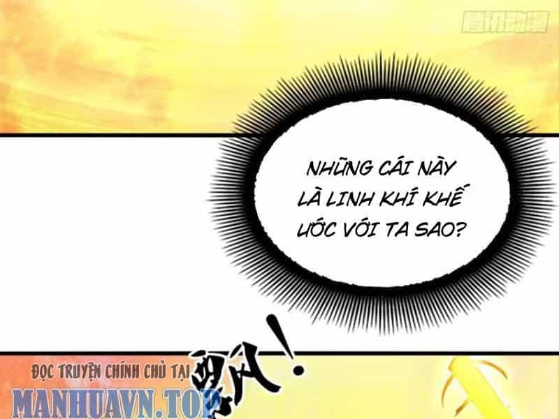 Ngươi Là Hạng Người Gì Cũng Dám Ở Tiên Giới Lên Mặt Với Ta? - Chương 24 - ảnh 42