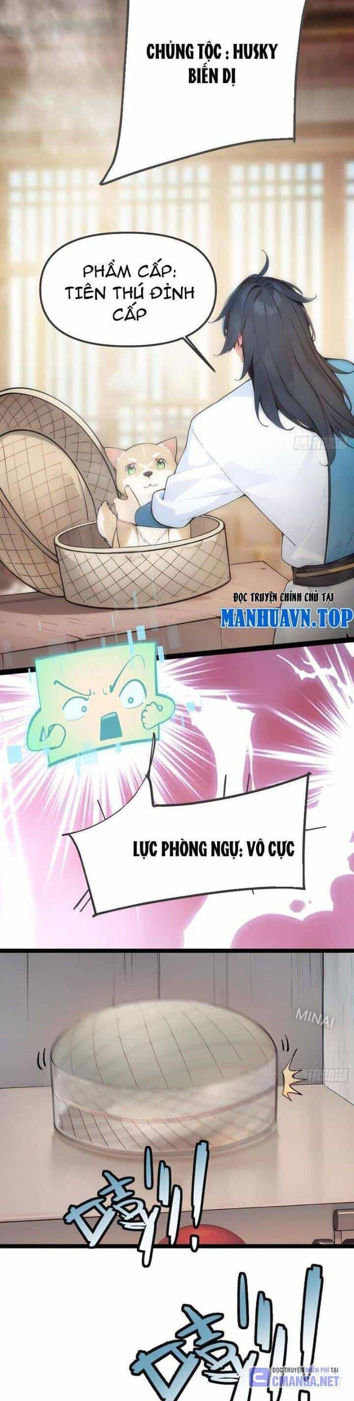 Ngươi Làm Bộ Tu Luyện Đi! - Chương 12 - ảnh 2