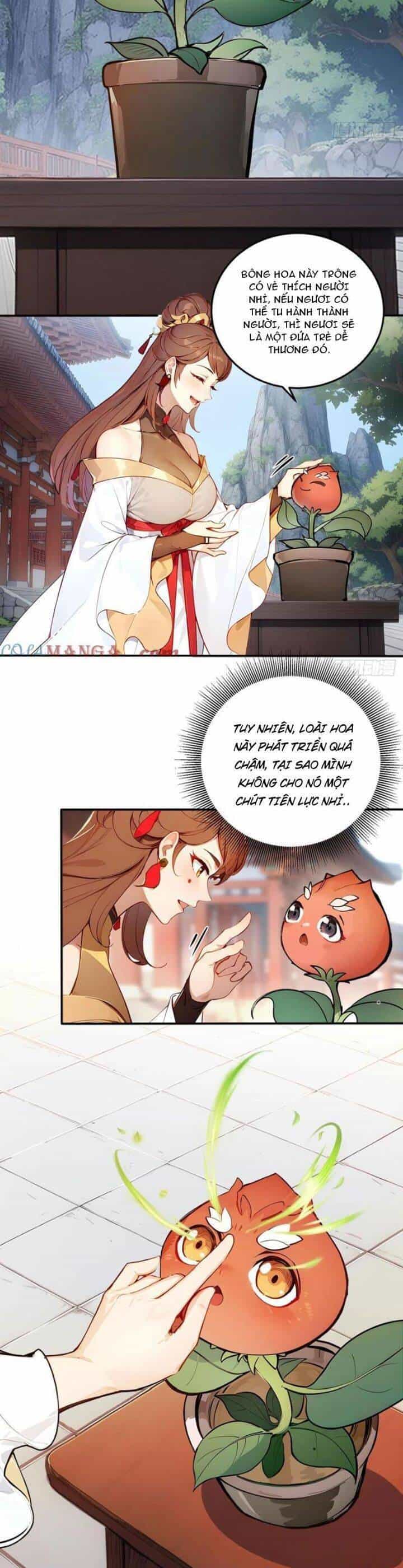 Ngươi Làm Bộ Tu Luyện Đi! - Chương 56 - ảnh 8