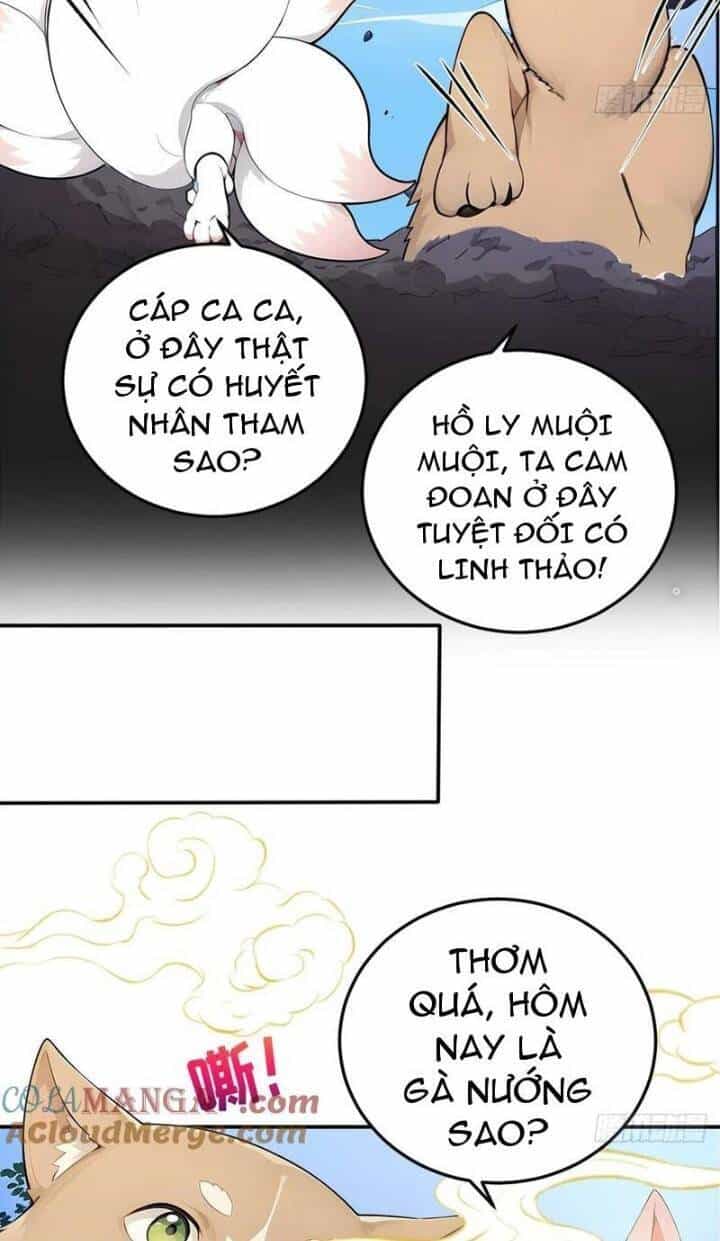 Ngươi Làm Bộ Tu Luyện Đi! - Chương 62 - ảnh 15