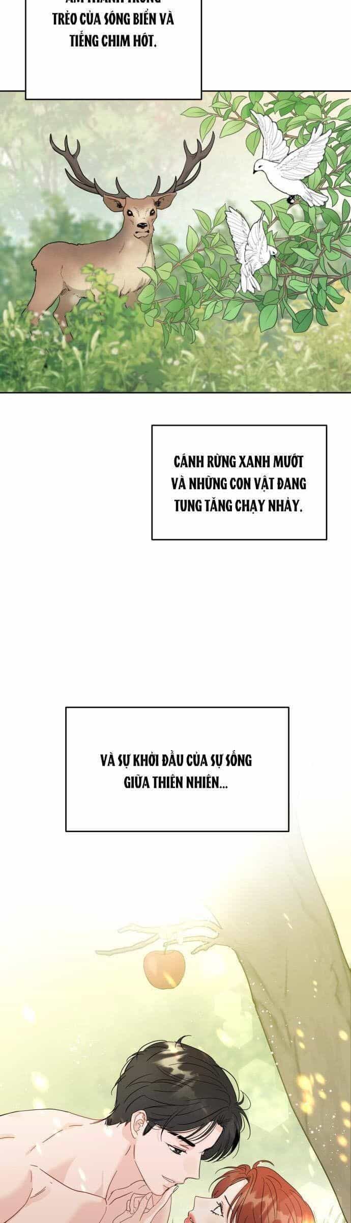 Người Một Nhà - Chương 106 - ảnh 32