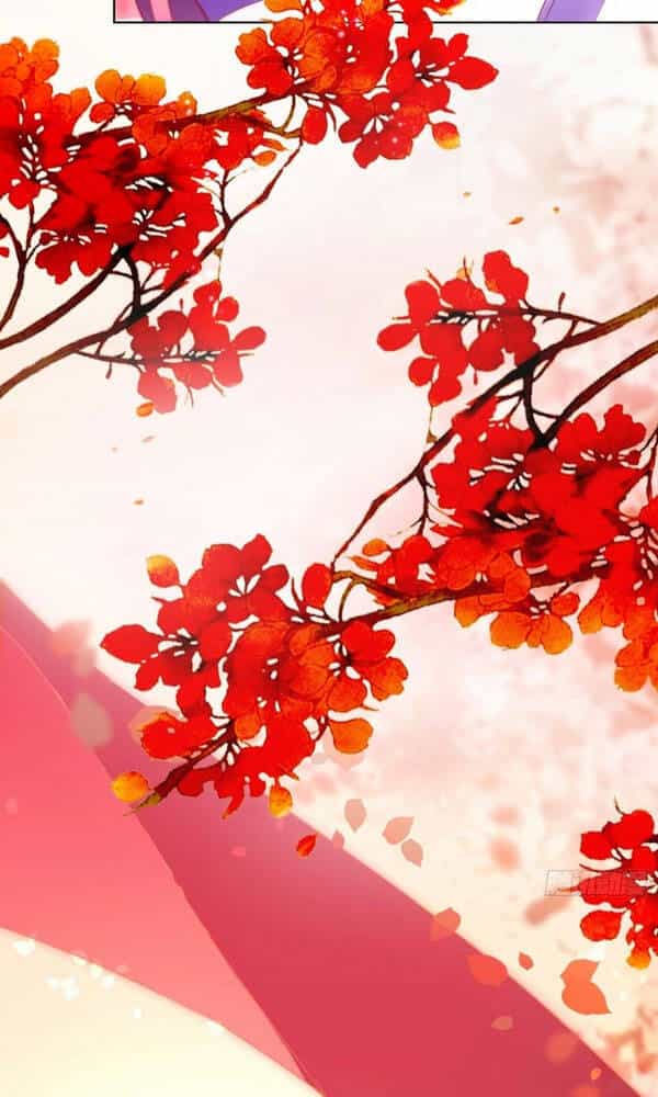 Người Ở Rể Bị Ép Thành Phản Diện - Chương 116 - ảnh 12