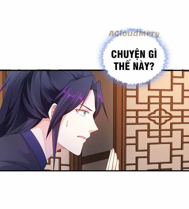 Người Ở Rể Bị Ép Thành Phản Diện - Chương 196 - ảnh 8