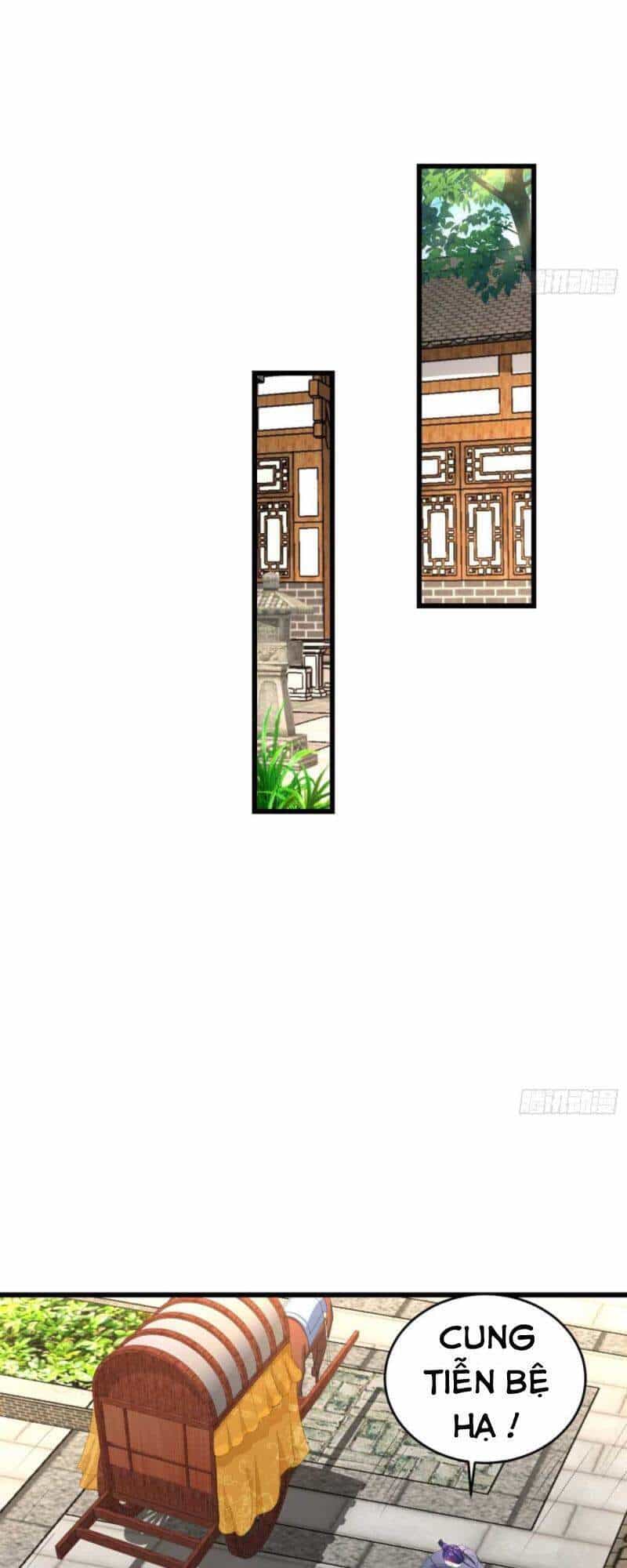 Người Ở Rể Bị Ép Thành Phản Diện - Chương 205 - ảnh 17