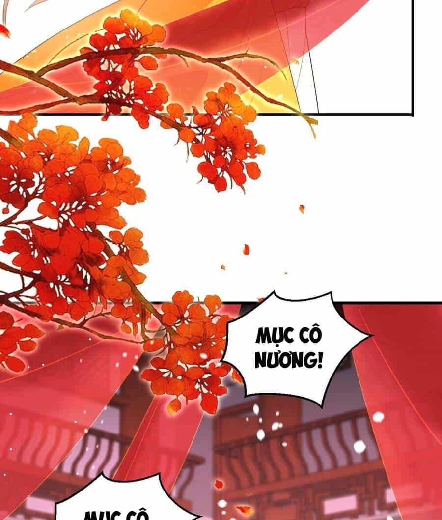 Người Ở Rể Bị Ép Thành Phản Diện - Chương 295 - ảnh 30