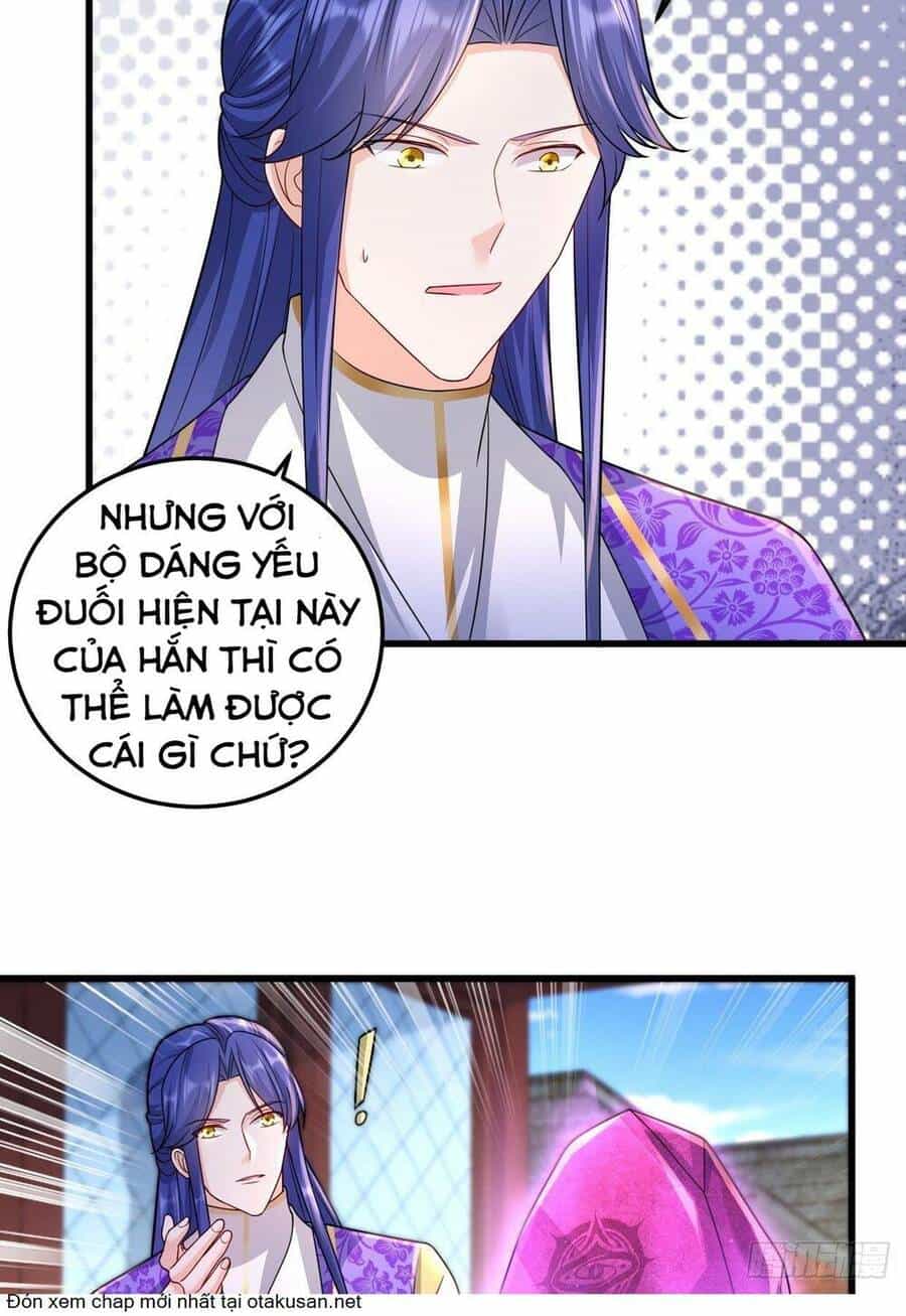 Người Ở Rể Bị Ép Thành Phản Diện - Chương 317 - ảnh 29