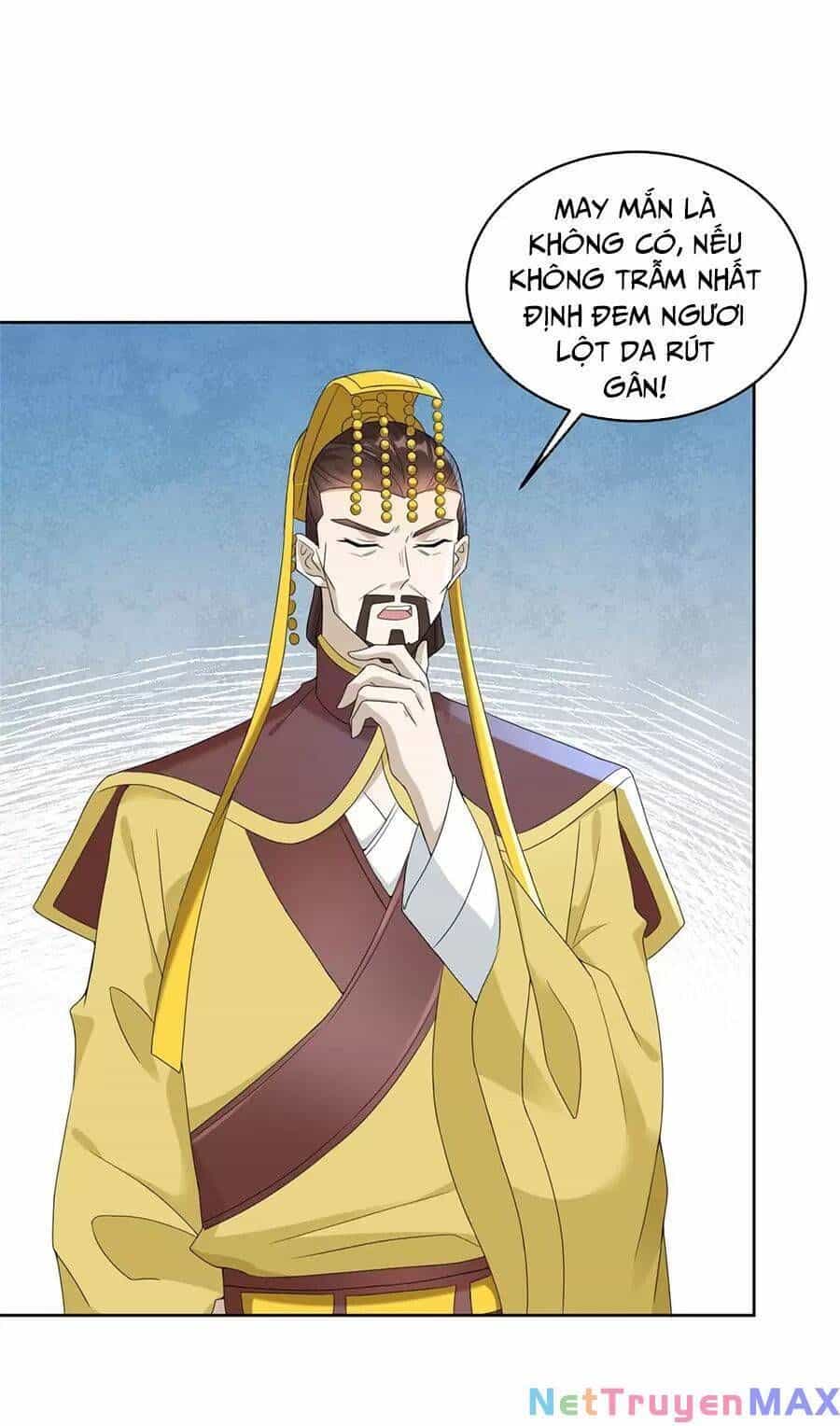 Người Ở Rể Bị Ép Thành Phản Diện - Chương 472 - ảnh 48