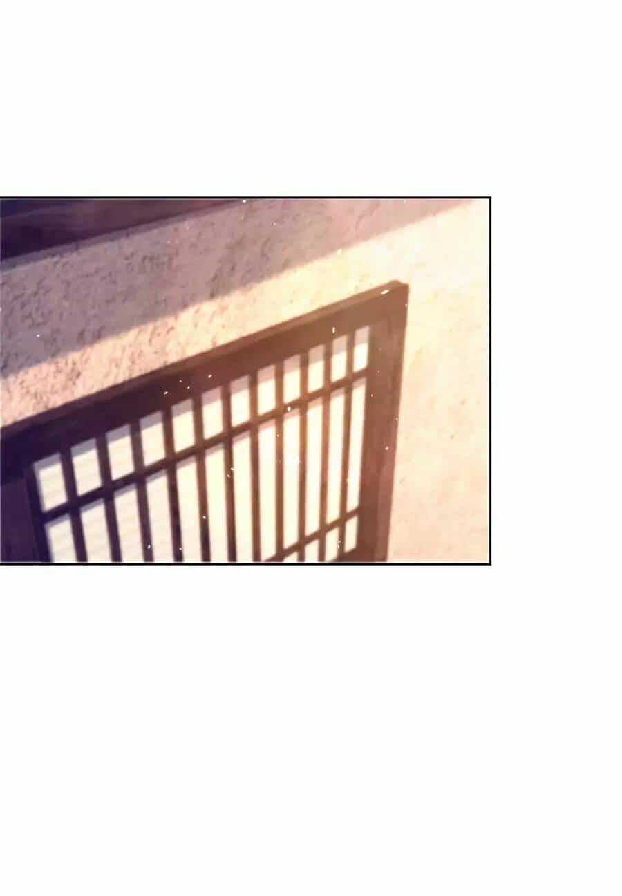 Người Ở Rể Bị Ép Thành Phản Diện - Chương 485 - ảnh 17