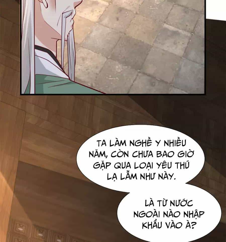 Người Ở Rể Bị Ép Thành Phản Diện - Chương 601 - ảnh 3