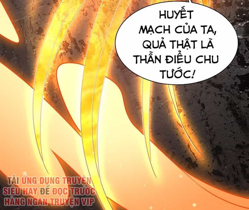Người Ở Rể Bị Ép Thành Phản Diện - Chương 60 - ảnh 13