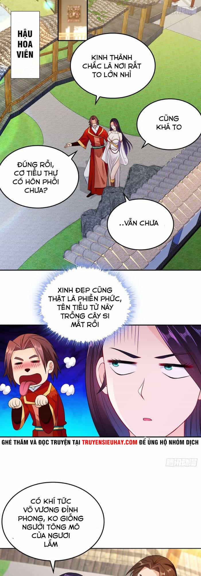 Người Ở Rể Bị Ép Thành Phản Diện - Chương 76 - ảnh 13